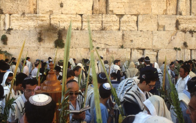 Sukkot In Israel What To Expect Ritual Trip