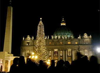 St. Peter's Basilica and the decorated tree