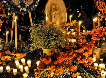 Marigold flowers decorating a gravesite.