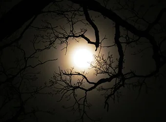 Full moon during the spring equinox.