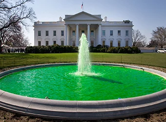 The fountain of the White House in green.