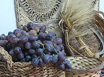 Harvested grapes and barley in reed baskets.