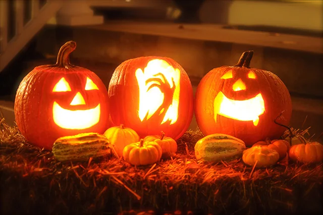 Small pumpkins and three bigger Jack-o'-lanterns (lit carved pumpkins). The typical Halloween decoration.